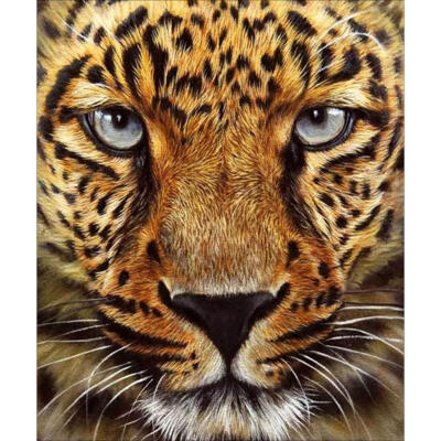 

5D DIY Diamond Painting Leopard Cross Stitch Embroidery Rhinestones Kits