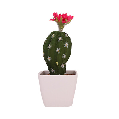 

Toponeto Simulated Potted Cactus Artificial Green Plant Potted Flower Art Home Decor