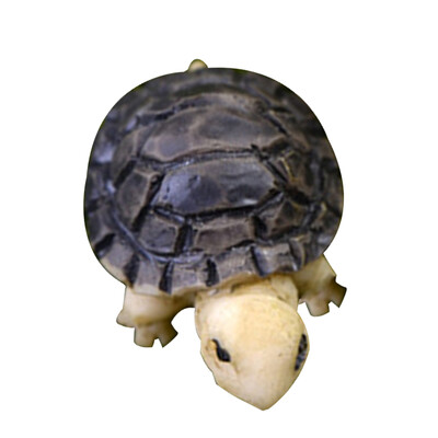 

Lovely Resin Plants Turtle Cute Micro Landscape Succulent Ornaments Plant Decoration Garden Miniatures DIY Doll