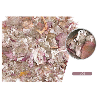 

Toponeto Nail Rock Slice Mica Slice Shell Slice Thin Fragment Mix Piece Nail Ornament