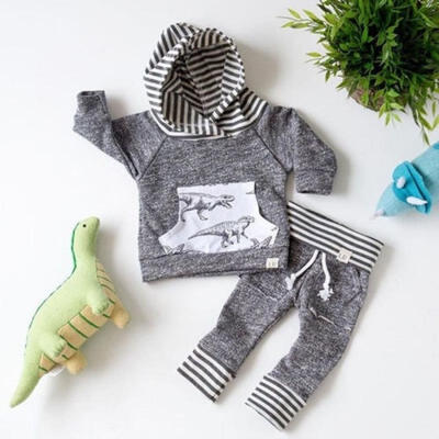 

Newborn Kid Baby Boy Dinosaur print Clothes Hoodies Tops Coat Long Pants Outfits