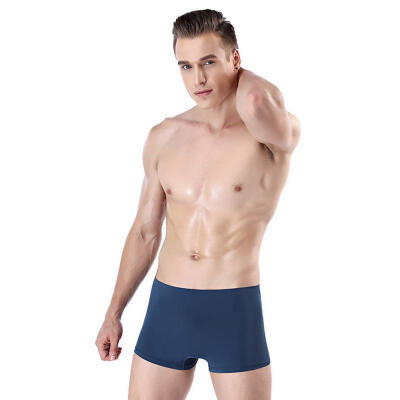 

Mens Breathable Ice Silk Boxer Briefs Comfort Seamless Pouch Underwear