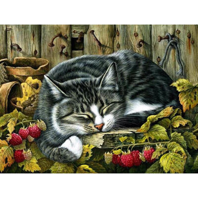 

5D DIY Full Drill Diamond Painting Sleeping Cat Cross Stitch Embroidery Kit