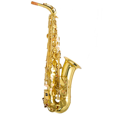 

Professional Eb Alto Saxophone with Case&Accessories
