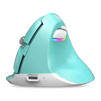 

Delux M618 Mini Wireless Vertical Mouse 2400 DPI RGB Rechargeable PC Mice