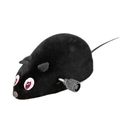 

Cat Winding Mechanism Plush Mouse Rat Kitten Teasing Trick Interactive Toys