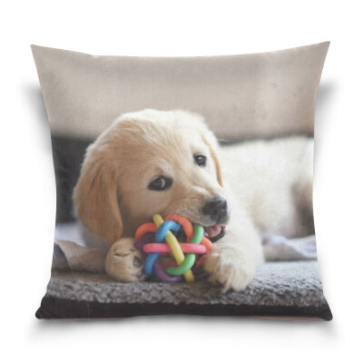 

ALAZA Throw Pillow Case Decorative Pillow Covers 16 X 16 inch Golden Retriever Dog Pattern Pillowcase