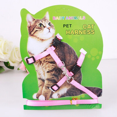 

Cat Harness with Leash Best for Walking