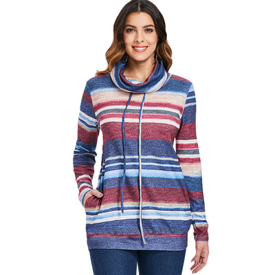 

Cowl Neck Striped Pullover Sweatshirt