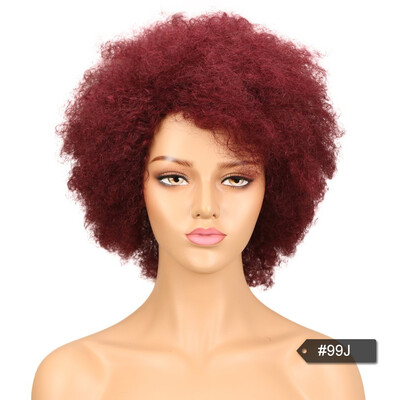 

Noble Afro Kinky Curly Wig Brazilian Human Hair Wigs For Black Women Remy Non Lace Front Wig Free Shipping