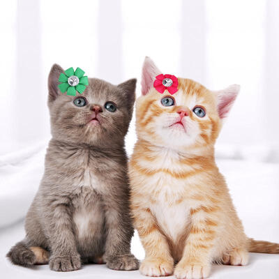 

Greensen 24pcs Mix Color Pet Dog Cat Flower Hair Rubber Bands Grooming Accessories Decoration