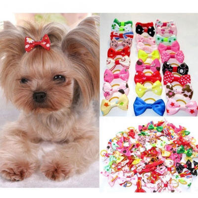 

20pcs Lot Assorted Pet Cat Dog Hair Bows with Rubber Bands Grooming Accessories