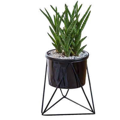 

Ceramic Succulents Plants Planter Geometric Iron Rack Holder Metal Stand Desktop Garden Cactus Flower Pot