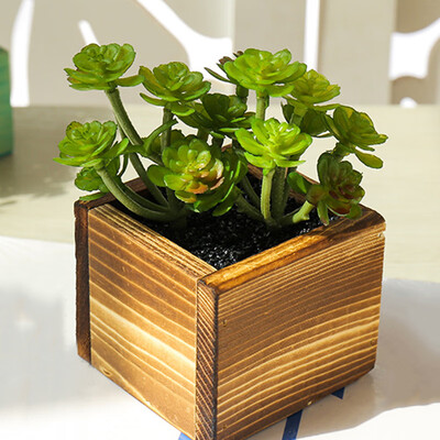 

Creative Ornaments Mini Simulation Succulent Bonsai Artificial Flowers With Pot