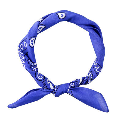 

Hip Hop Unisex Women Men Shawl Cashew Flower Print Square Scarf Hair Band