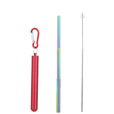 

Portable Reusable Drinking Telescopic Stainless Steel Straws Sets Carabiner