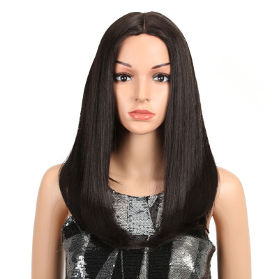 

Noble Ombre Color Straight Hair 18"Inch Lace Front Wig African American Wigs Synthetic Heat Resistant Hair