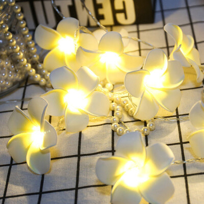 

Tailored Vintage Frangipani Flower LED Fairy Light String Battery Home Party Wedding