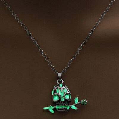 

Punk Skull Luminous Long Chain Necklace Rose Silver Color Chain Glow in the Dark Statement Necklaces & Pendants