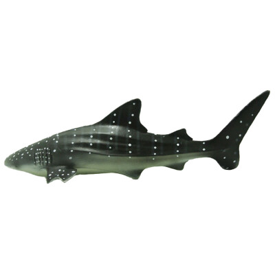 

Simulation Sea Life Toys Figure Model Ocean Collectible Preschool Learning Educational Gift