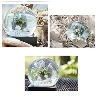 

〖Follure〗Dream crystal ball six optional creative home decoration birthday gift