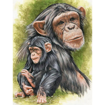 

5D DIY Full Drill Diamond Painting Baboon Animal Cross Stitch Embroidery