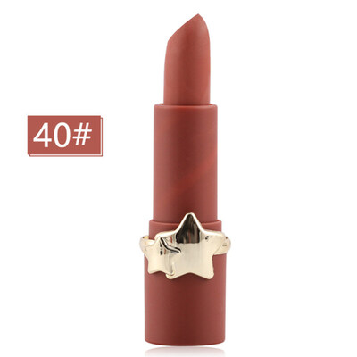 

34g Long Lasting Silky Matte Lip Cream Lipstick Waterproof Non-sticky Cosmetic