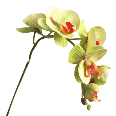 

1Pc Artificial Butterfly Orchid 7 Heads Fake Flower DIY Wedding Party Decor