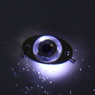 

1 Pcs LED underwater fish trap LED Deep Drop Underwater Eye Shape Fishing Squid Fish Lure Light Flashing Lamp