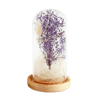 

Gypsophila Romantic Simulation Glass Cover Led Micro Landscape Home Night Light Decor