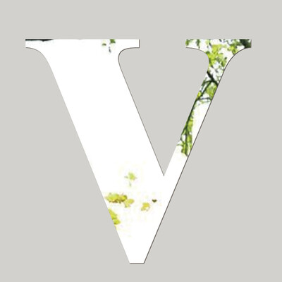 

Siaonvr Mirror Wall Sticker 26 Letters DIY Art Mural Home Decor Acrylic Decals Silver A