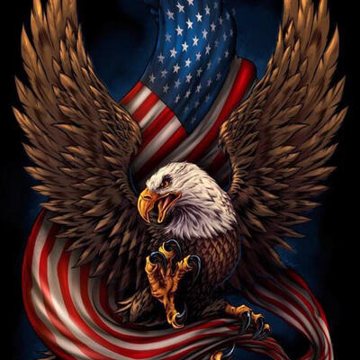 

5D DIY Full Drill Diamond Painting Eagle Flag Cross Stitch Embroidery Kit