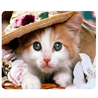 

CAT-9 Mouse Pad Cute Cat Picture Anti-Slip Gaming Mouse Mat for PC Computer Laptop MackBook