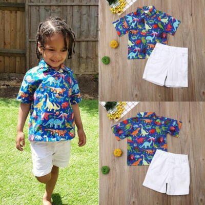 

US Sale Newborn Baby Boys Girls Dinosaur Floral Tops Shirts Short Pants Outfits