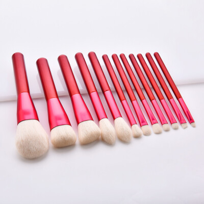 

Toponeto Foundation Cosmetic Eyebrow Eyeshadow Brush Makeup Brush Sets Tools 12PCS