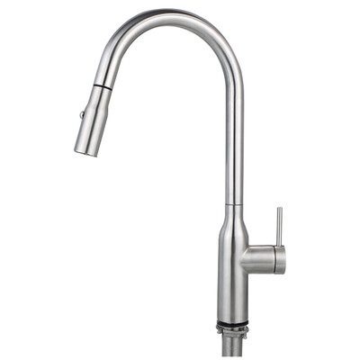 

Kitchen Sink Faucet Head 2-Function Pull Out Spray Head with Check Valve Replacement Parts G12 Connections Brushed Nickel