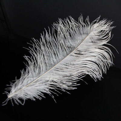 

10PCS Large 138INCH Ostrich Feathers Costume Wedding Party Decoration