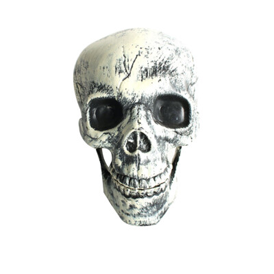 

Resin Realistic Human Mini Skull Decoration Prop Skeleton Head Halloween Coffee Bars Ornament