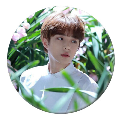 

Collection&Decorative Gifts for Fans Round Badge Tinplate Badge Korean New Idol Team of TXT Brooch