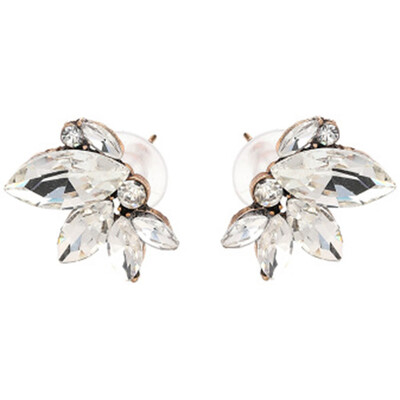 

Cute Crystal Stud Earrings For Women Sapphire Ruby Rhinestone Earrings Trendy Brincos Plant Charm Acrylic Fashion Jewelry