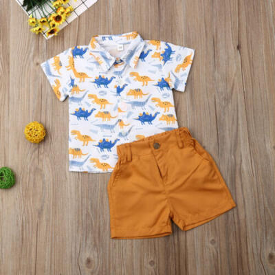 

Toddler Kids Baby Boys Dinosaur Tops T-Shirt Pants Shorts Outfits Clothes Summer