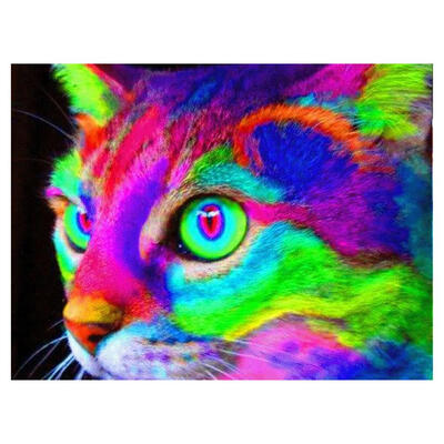 

5D DIY Diamond Painting Colorful Cat Cross Stitch Embroidery Rhinestones