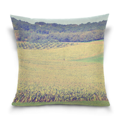 

ALAZA Throw Pillow Case Decorative Pillow Covers 16 X 16 inch Field View Pattern Pillowcase