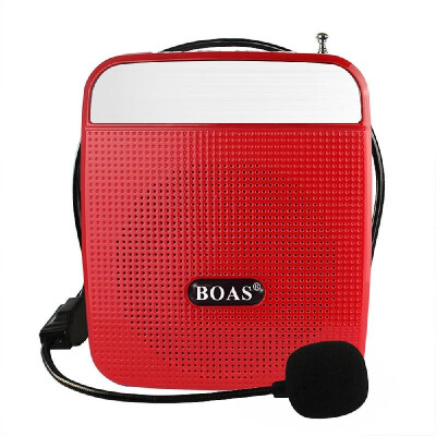 

BQ-800 loudspeaker High Power Speaker Voice Amplifier Support FM Radio MP3 Player w Microphone For Teachers Tour Guide Sales Pro