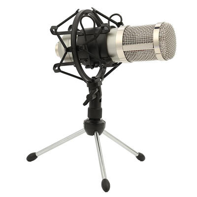 

BM800 Uni-directional Condenser Sound Recording Microphone with Shock Mount