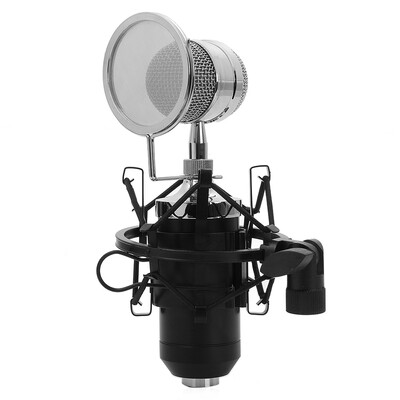 

LEIHAO BM - 8000 Professional Sound Studio Recording Condenser Microphone with 35mm Plug Stand Holder