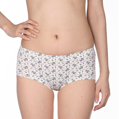 

Bladies Bamboo Pulp Fiber Womens Underwear Three Pack 4670