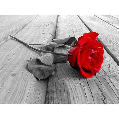 

5D DIY Full Drill Diamond Painting Romantic Rose Cross Stitch Embroidery