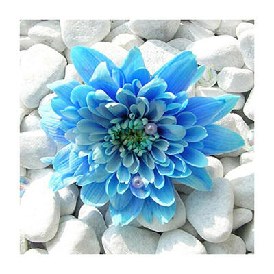 

5D DIY Full Drill Diamond Painting Blue Flower Cross Stitch Embroidery Kit