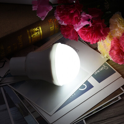 

Solar Bulb LED BulbsPortable Solar Energy 12 LED Rechargeable Bulb Light Outdoor Camping Yard Lamp Pure White